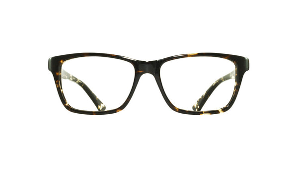 GOLDEN/TORTOISE